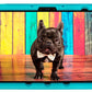 Bobj Rugged Tablet Case for Lenovo Tab P11 Pro 11.5 (TB-J706F) - Terrific Turquoise